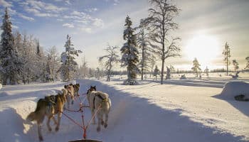 Wohnmobil-Reise Lappland
