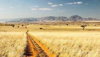 Namibia Rundreise Highlights