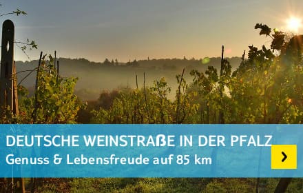 Die deutsche Weinstraße in der Pfalz