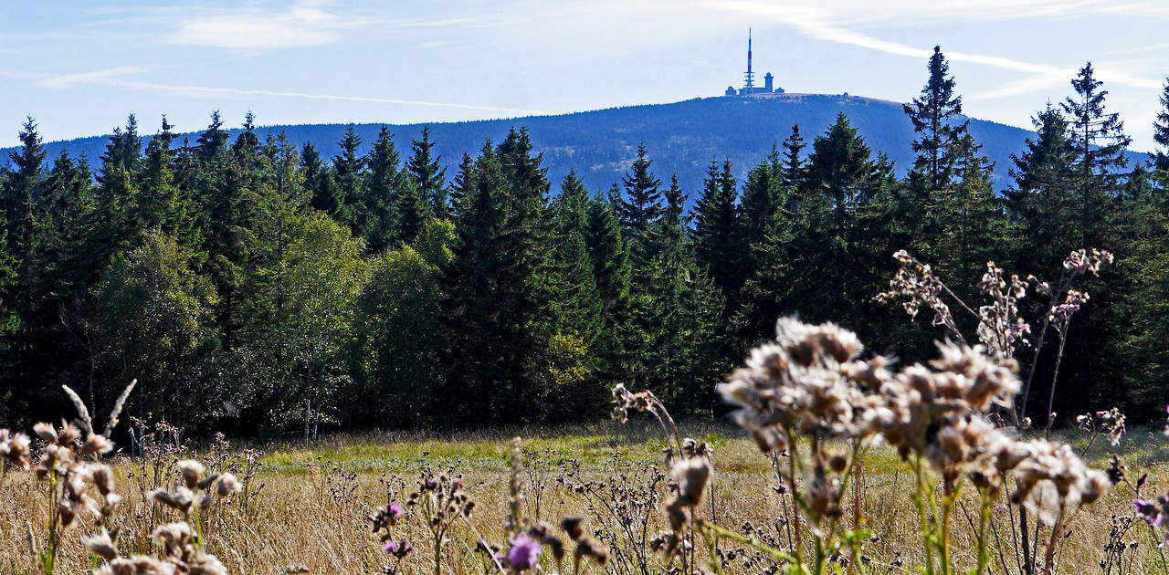 Blick von Torfhaus auf den Brocken