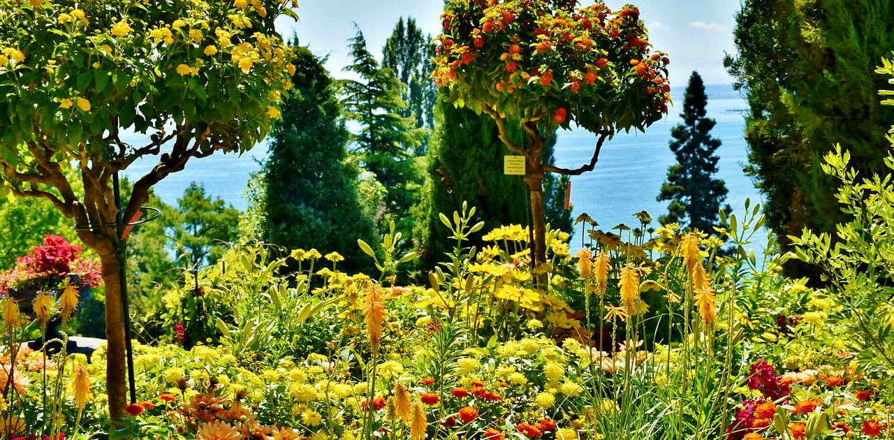 Insel Mainau