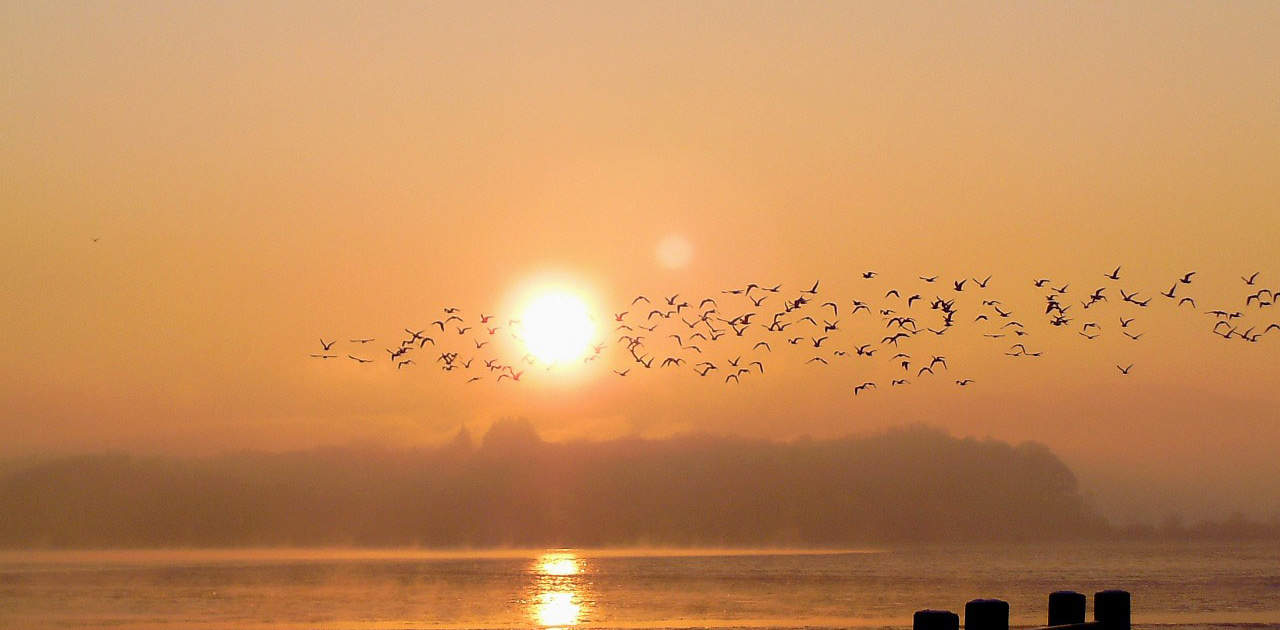 Sonnenuntergang über dem Chiemsee