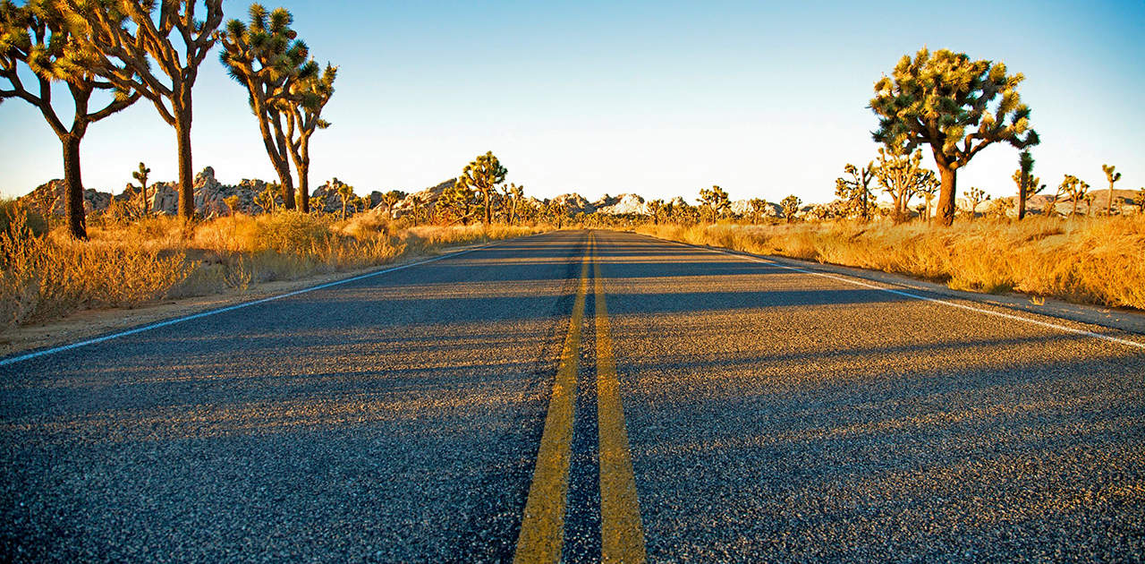 Straße im Joshua Tree National Park