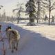 Wohnmobil Lappland