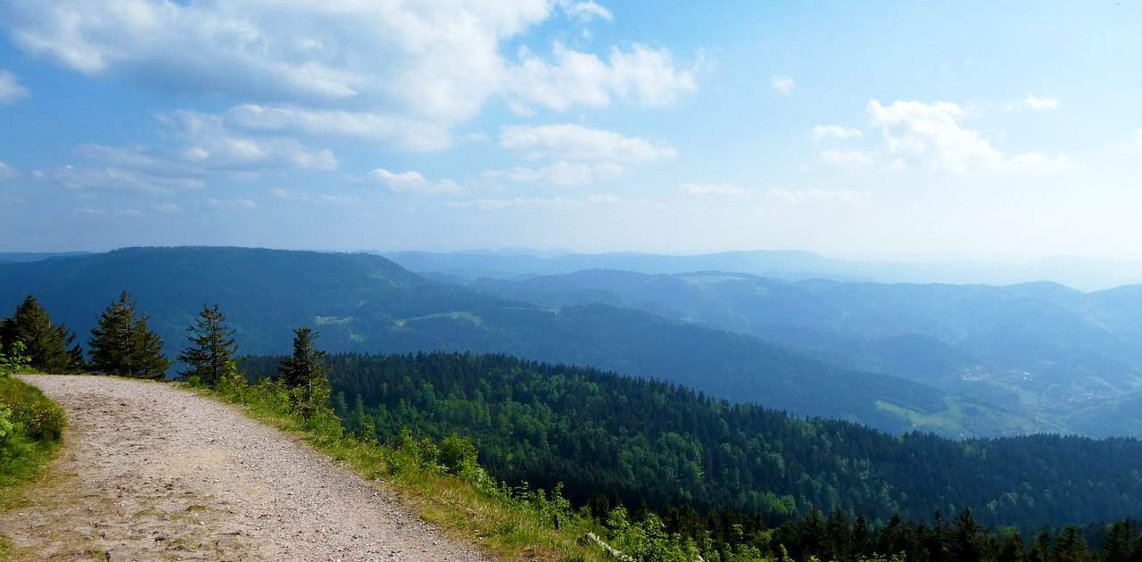 Ausblick von der Hornisgrinde