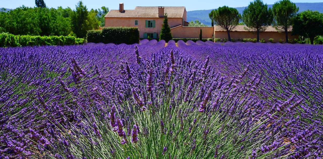 provence