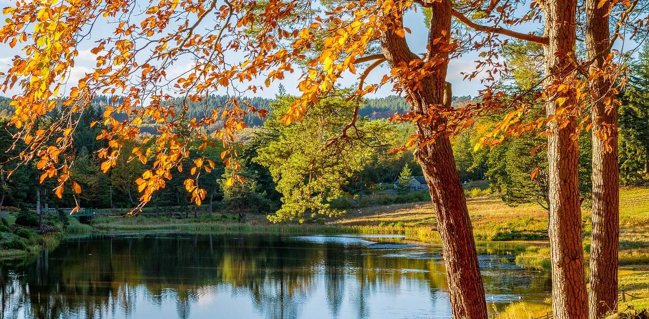 Indian Summer in Neuengland