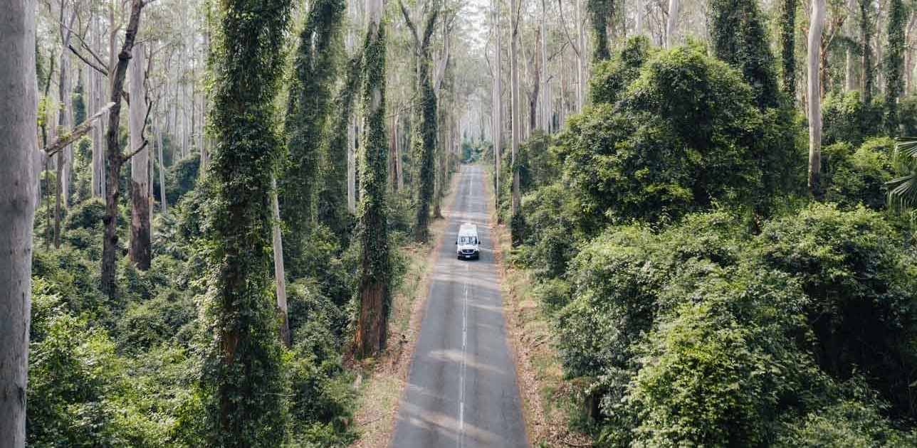 Camper fährt durch Straße im australischen Dschungel