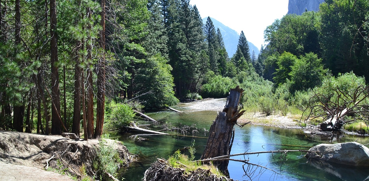 sequoia-nationalpark