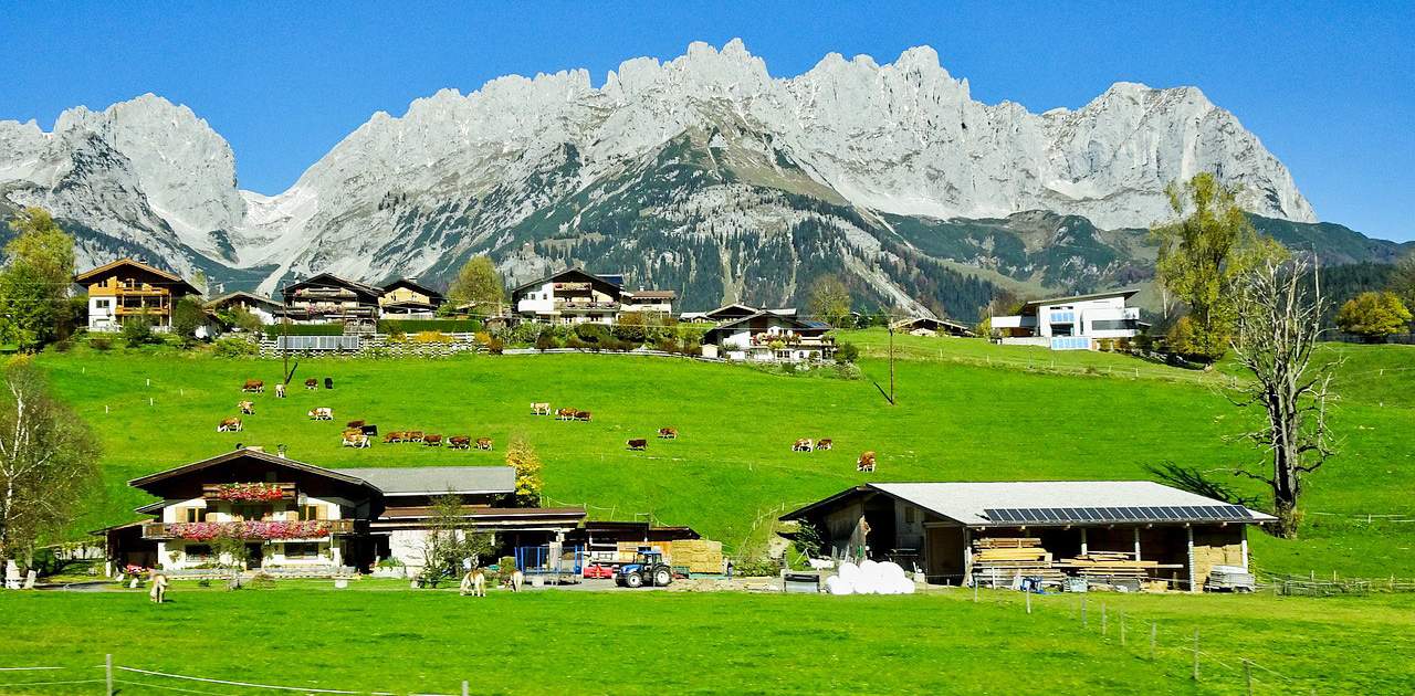 Ausblick auf den Wilden Kaiser