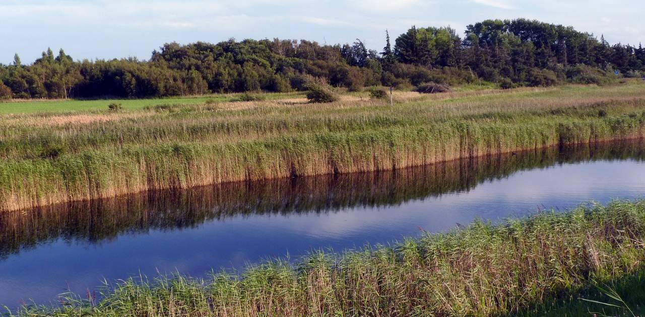 Wasserreservat