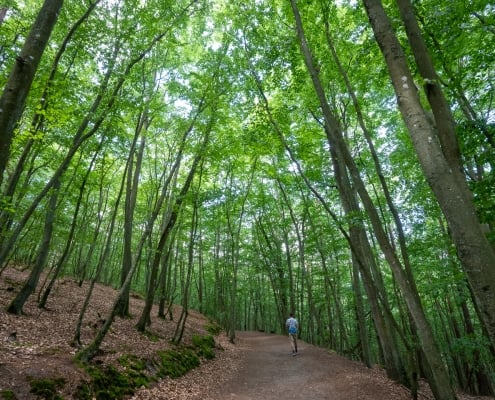 Wolliner Nationalpark