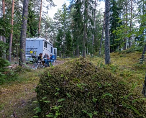 Natur auf den Åland-Inseln