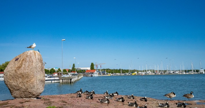 Seeviertel am Osthafen von Mariehamn