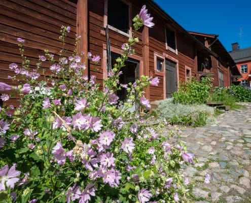 Rot gestrichenes Holzhaus