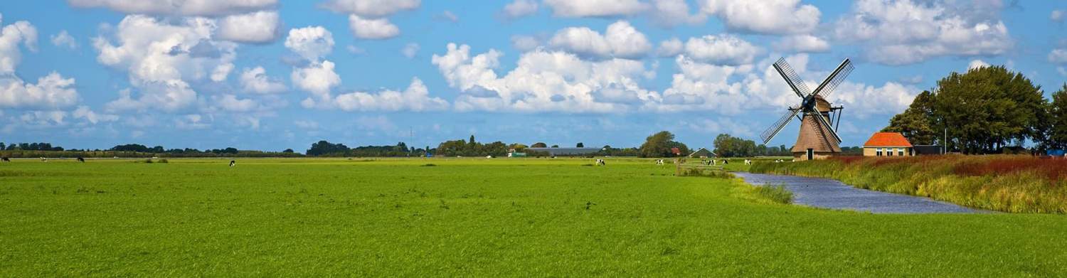 Wohnmobil mieten Oldenburg - TUI CAMPER