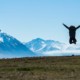 mighty-neuseeland-lake-pukaki