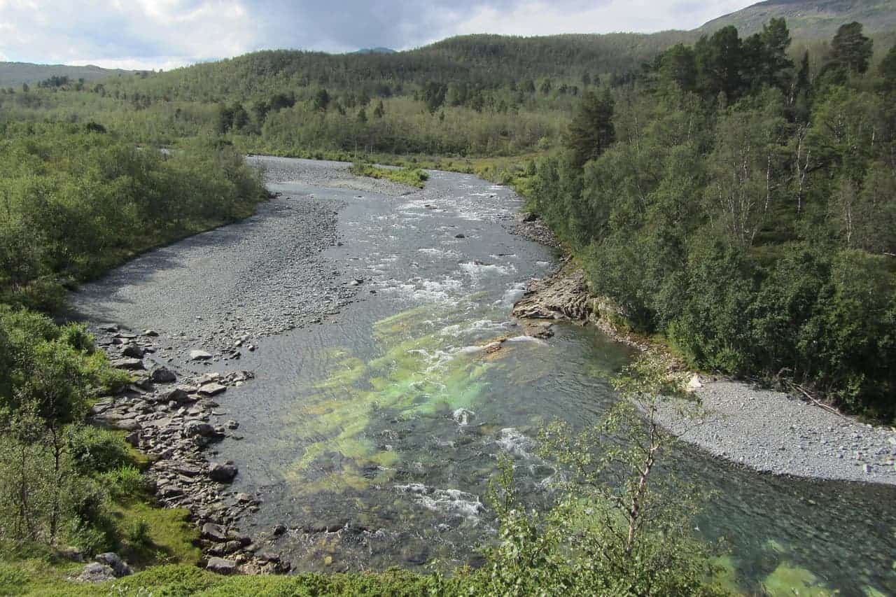 Im Nationalpark Abisko