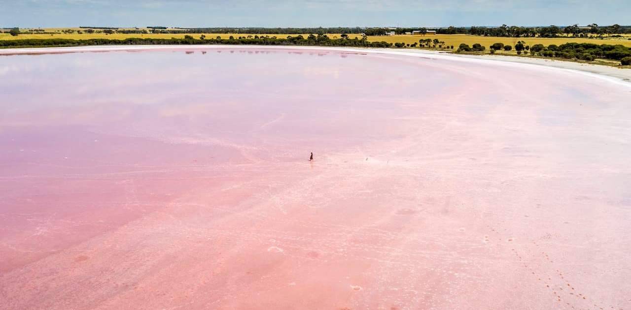 Blick auf den Pink Lake