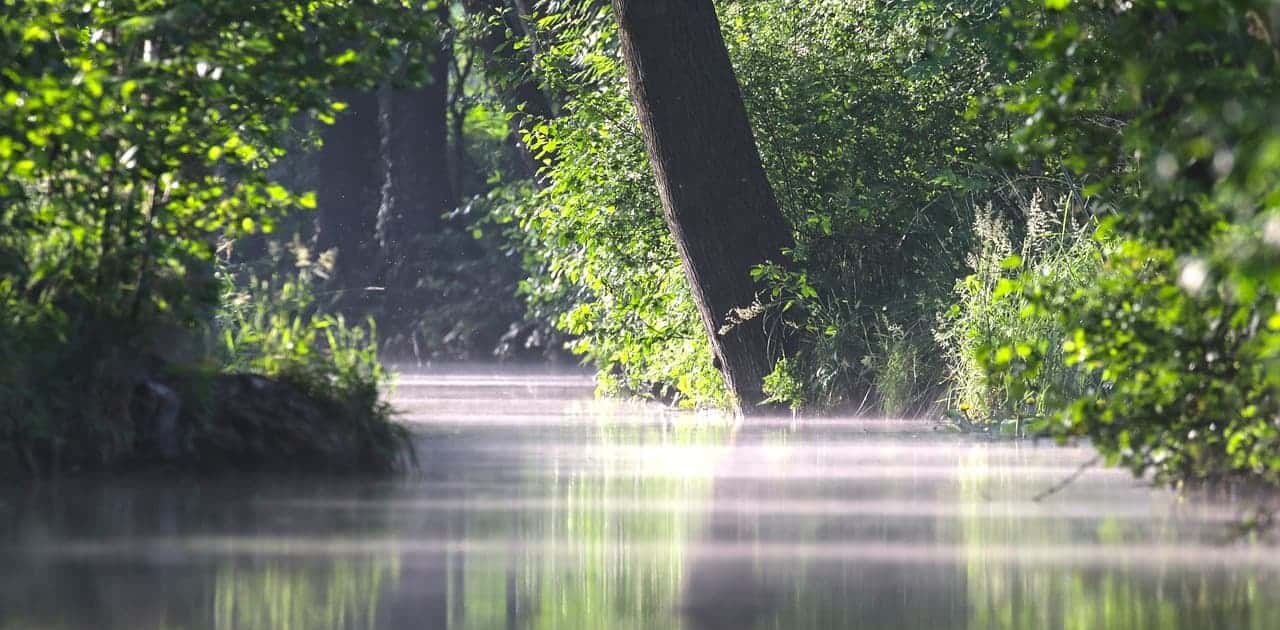 Spreewald Wasserkanal