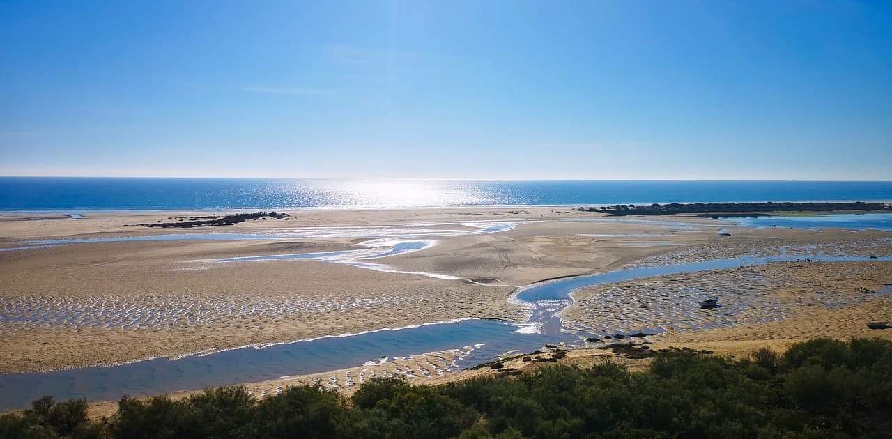 Die Landschaft des Naturparks Ria Formosa