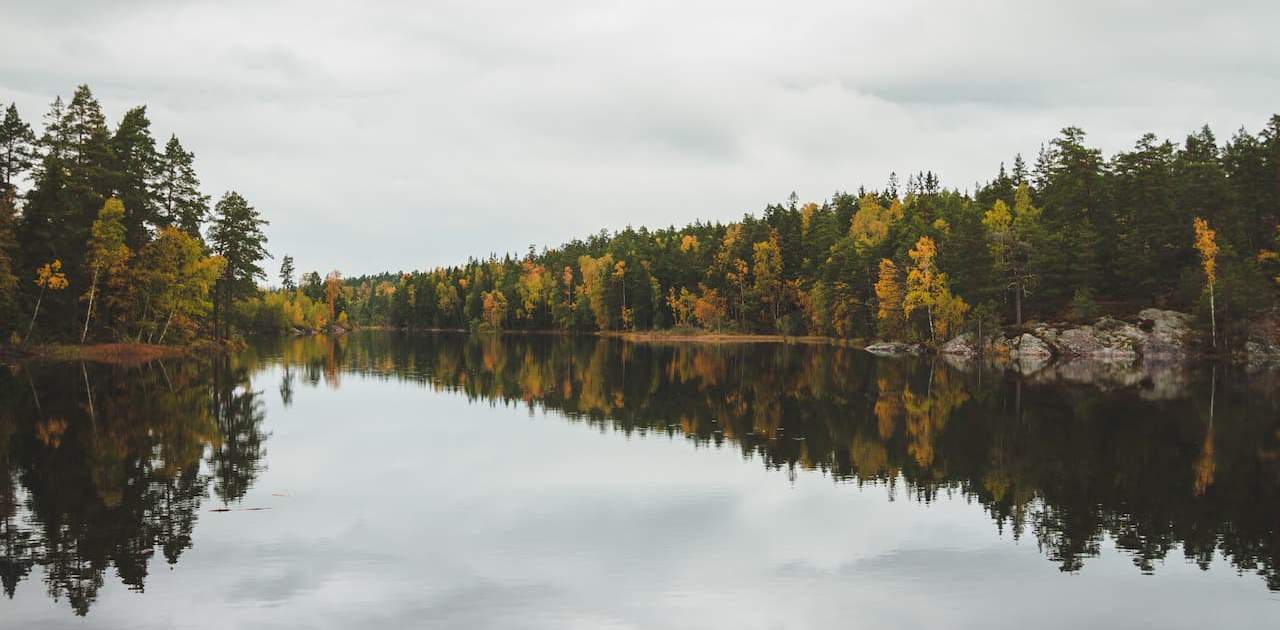 Die Landschaft mit Fluss im Tyresta-Nationalpark