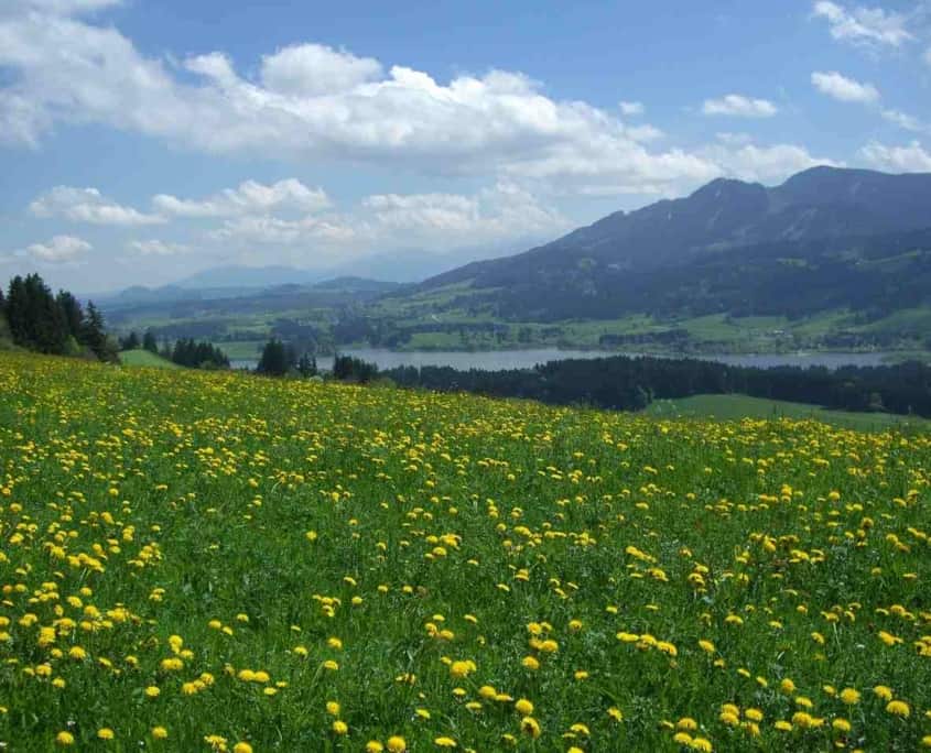 Alpspitz Edelsberg Bayern