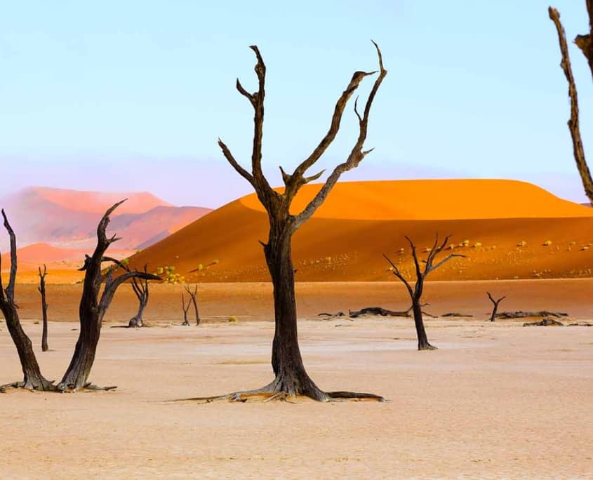 Namibia_Sussusvlei_Deadvlei