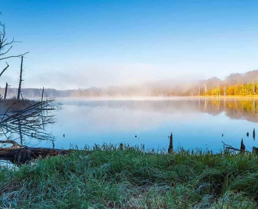 Urlaub mit Hund an der Müritz